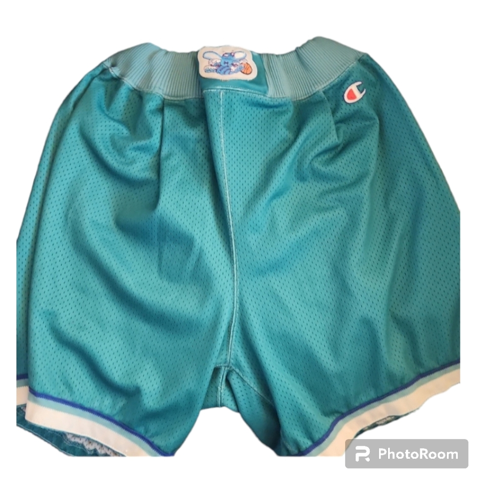 Vintage 90's Charlotte Hornets Basketball shorts